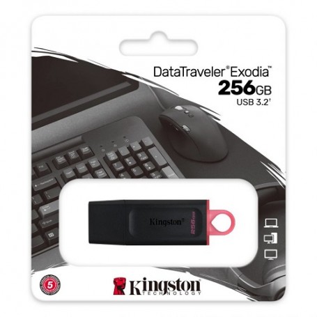 PENDRIVE KINGSTON 256GB DTX USB 3.1/3.2